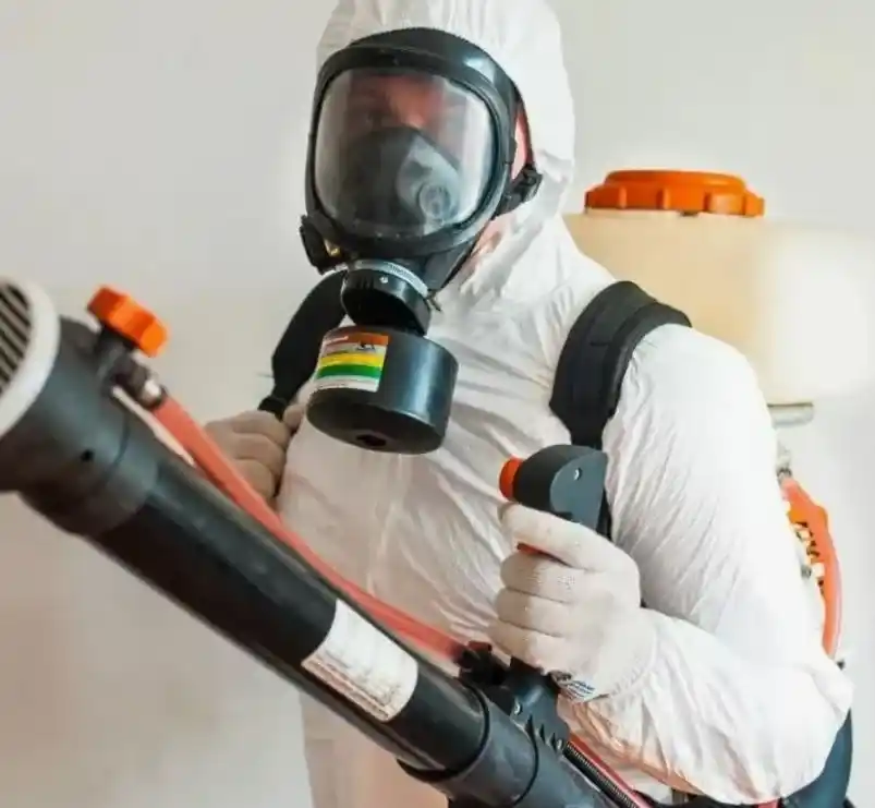 Дезинсекция - обработка от насекомых во Фрязино и пригороде.